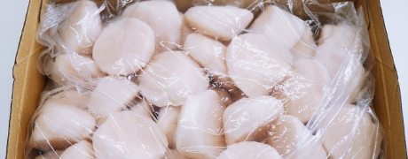 Frozen Scallop Meat : Export and Sales